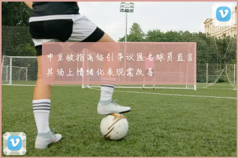 申京被指高估引争议匿名球员直言其场上情绪化表现需改善